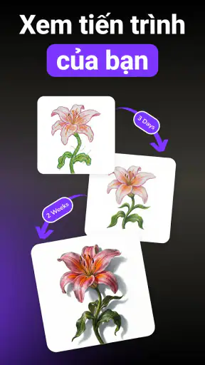 ARtie Lab: AR Drawing & Sketch