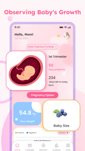 Baby Tracker - Pregnancy Care
