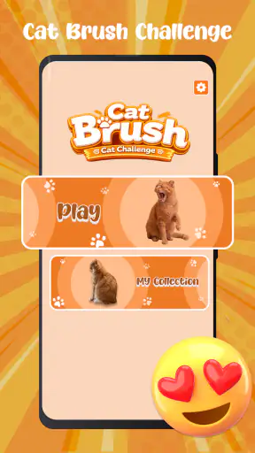 Cat Brush Challenge