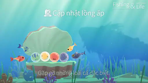 Câu cá và cuộc sống