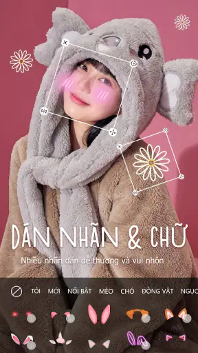 Chỉnh màu tóc: Kiểu tóc đẹp