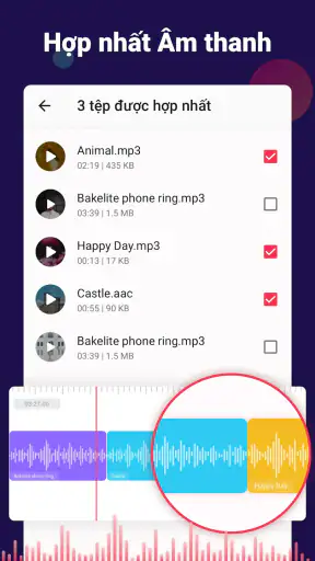Chuyển đổi video sang âm thanh