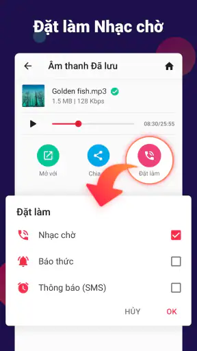 Chuyển đổi video sang âm thanh