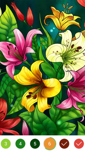 Coloring Book: Color by Number