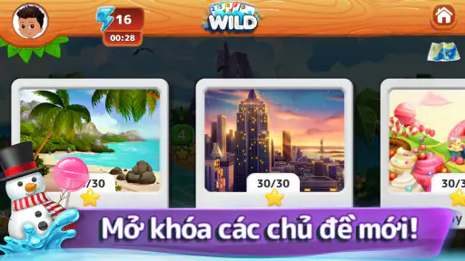 Crazy Eights - Trò chơi bài