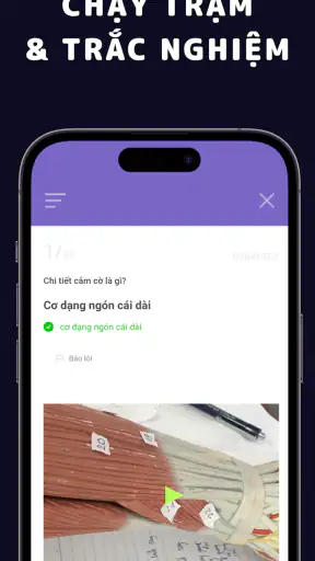 FA Quiz - App Y khoa cục súc