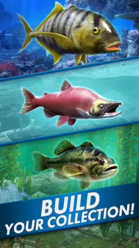 Fishing Blitz!