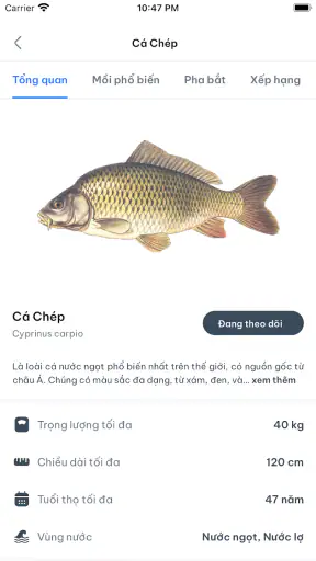 Fishmap