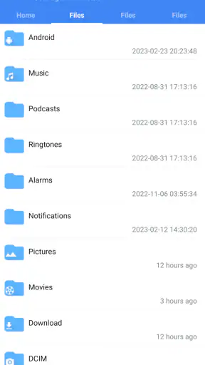 FV File Manager