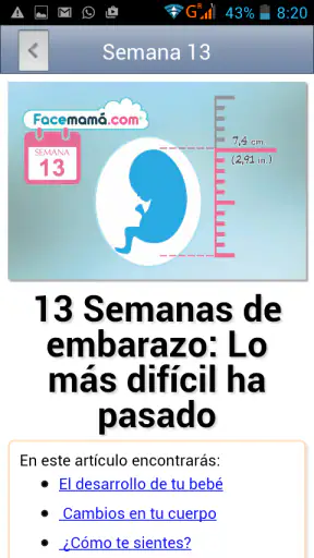 Gestograma - Embarazo Facemamá