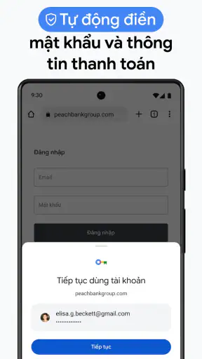 Google Chrome