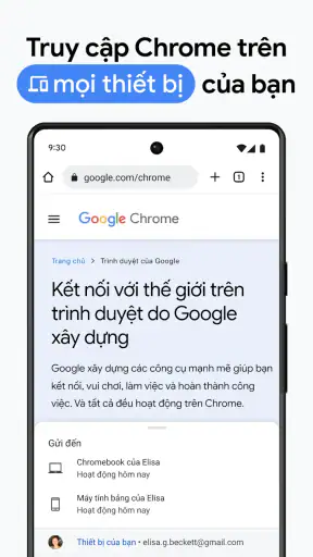 Google Chrome