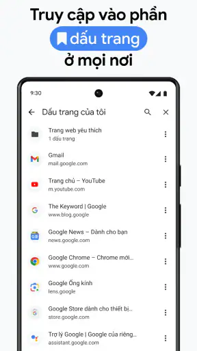Google Chrome