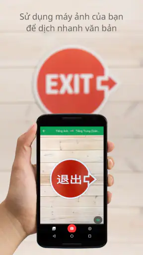Google Dịch