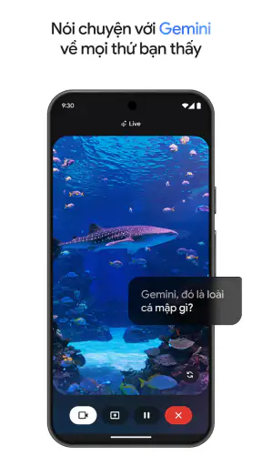 Google Gemini