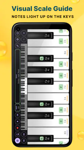 Grand Piano and Keyboard