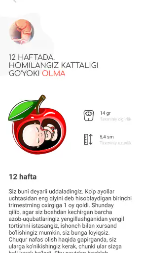 Homiladorlik davri