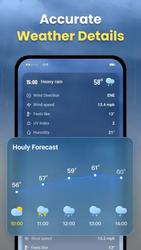 Live Weather: Daily Forecast