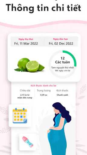 Máy tính thai kỳ tuần qua tuần