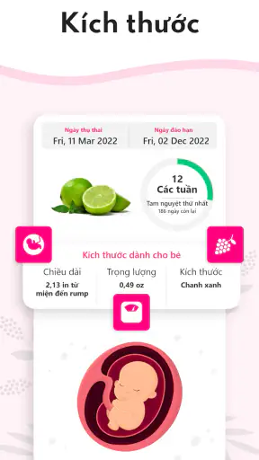 Máy tính thai kỳ tuần qua tuần