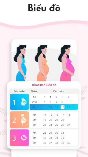 Máy tính thai kỳ tuần qua tuần