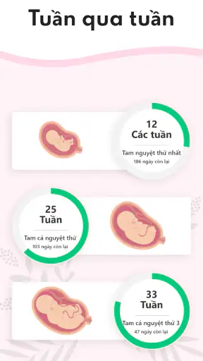 Máy tính thai kỳ tuần qua tuần