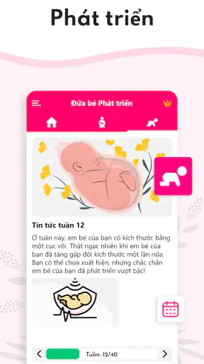 Máy tính thai kỳ tuần qua tuần