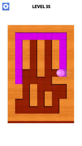 Maze Ball Paint Puzzle
