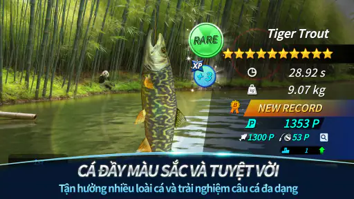 My Fishing Tour: Hook and Jerk