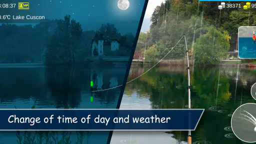 My Fishing World