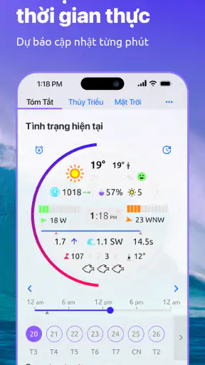 Nautide: Thủy triều, Gió, Sóng