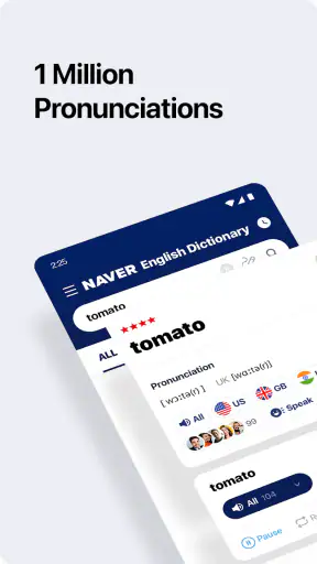 NAVER Dictionary