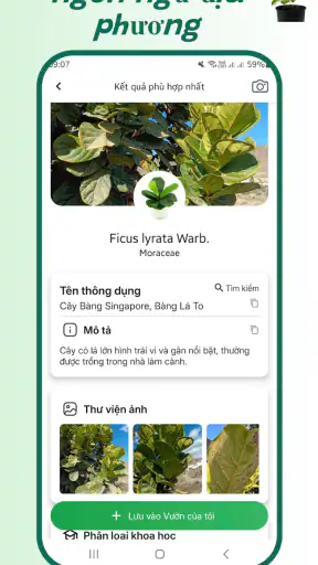 Nhận diện cây trồng