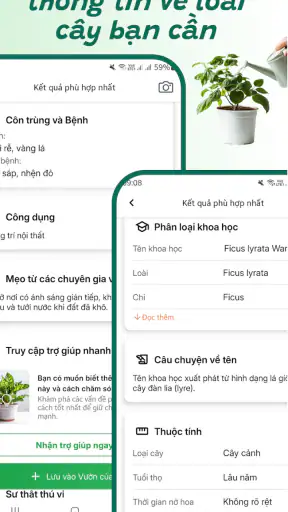 Nhận diện cây trồng