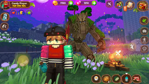 Pony World Craft