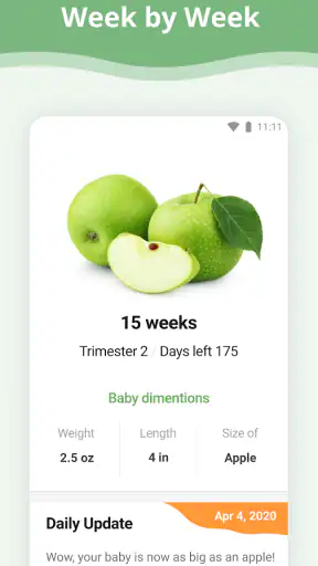 Pregnancy App