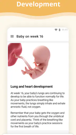 Pregnancy App