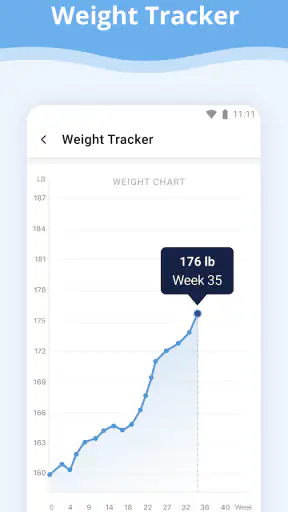 Pregnancy App