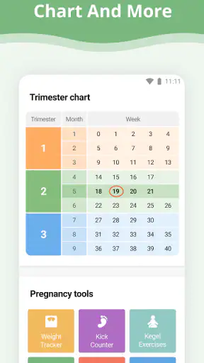 Pregnancy App