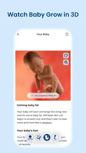 Pregnancy App & Baby Tracker