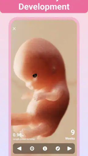 Pregnancy + | Tracker App