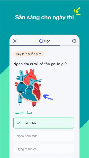 Quizlet: Học với Flashcards