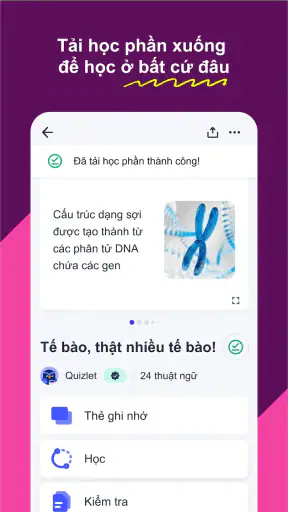 Quizlet: Học với Flashcards