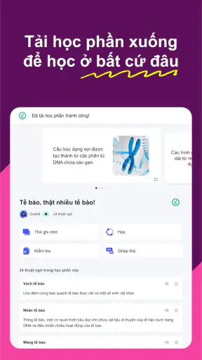 Quizlet: Học với Flashcards