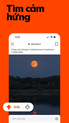 Reddit
