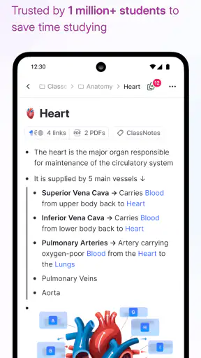 RemNote - Notes & Flashcards
