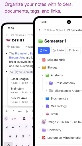 RemNote - Notes & Flashcards
