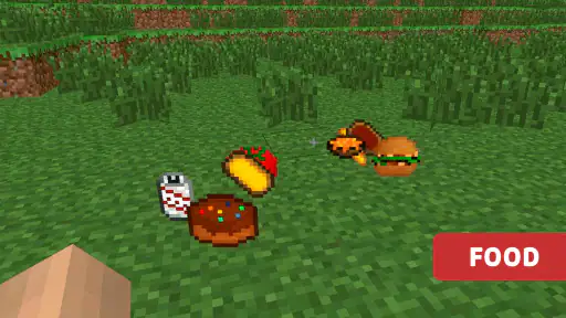 Tiện ích cho Minecraft PE
