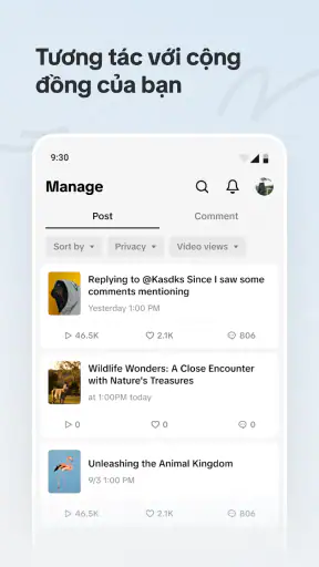 TikTok Studio
