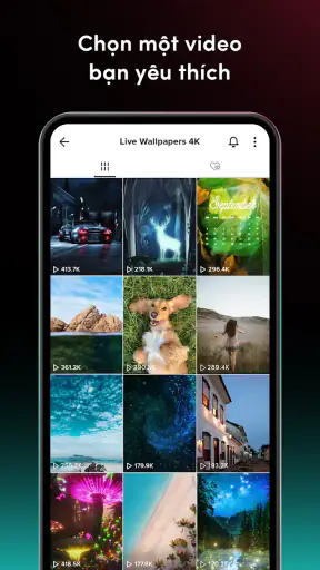 TikTok Video Wallpaper